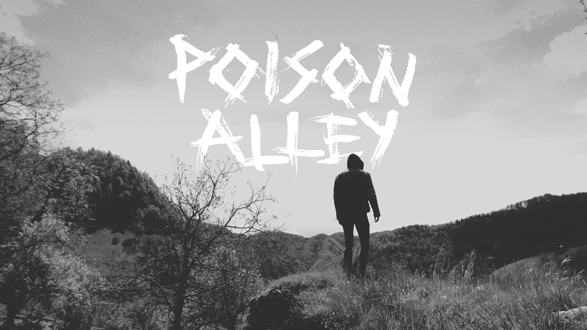 Poison Alley |2017|